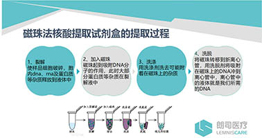 磁珠法核酸提取试剂盒配套核酸提取