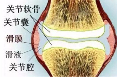 微信图片_20190411110102.jpg