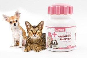 猫癣怎么办？治养结合，药膏和宠吾爱维生素片一个都不能少！