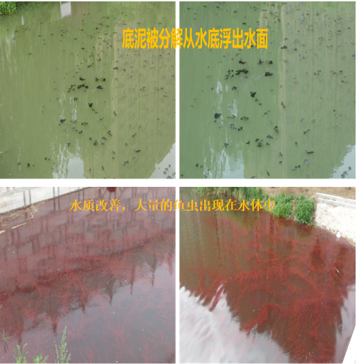 北京林源利景量子波原位水处理技术修复富营养化水体
