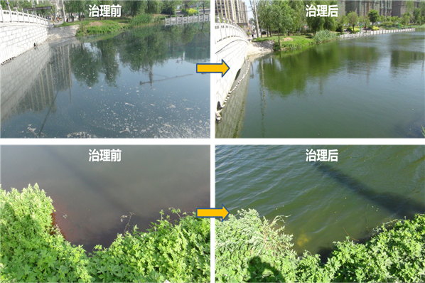 北京林源利景量子波原位水处理技术修复富营养化水体