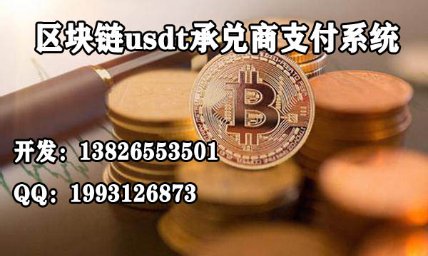 区块链支付清算网关软件开发