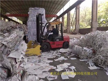 重庆废纸回收25.jpg