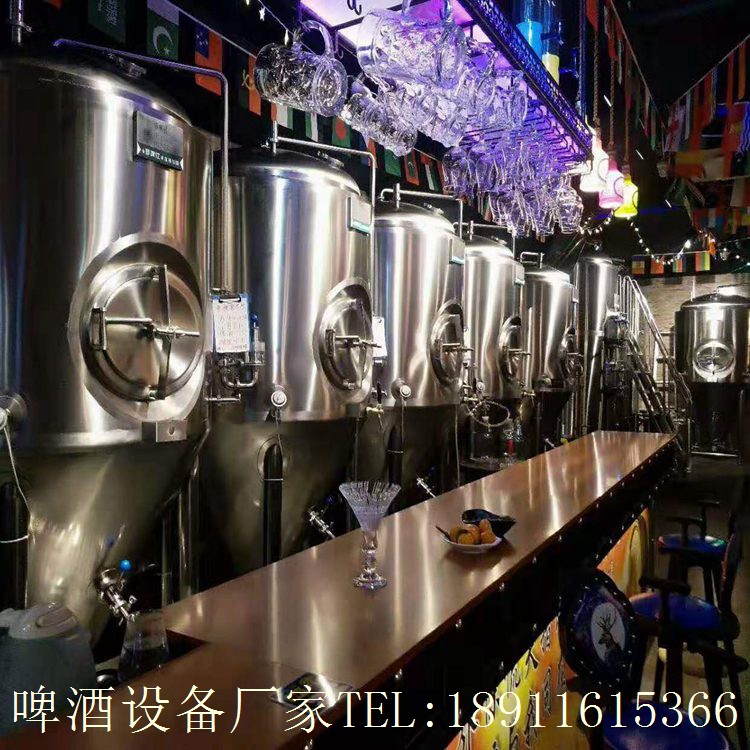 浙江音乐餐吧专用自酿啤酒设备厂家提供啤酒设备场地设计