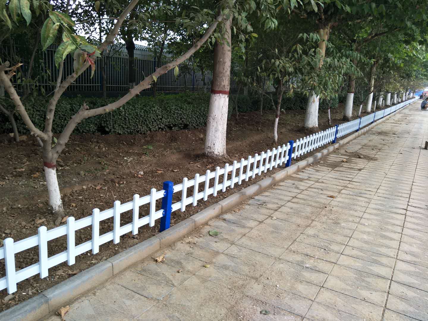 河北PVC草坪护栏 公园花草隔离护栏 PVC市政围挡