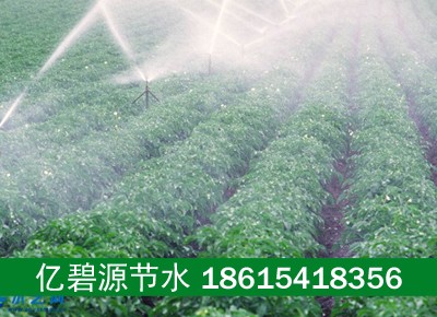 日照山地茶树水肥药一体化喷灌系统成本