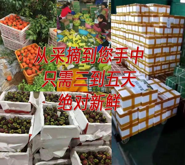 东南亚进口水果代理 微信一件代发 水果一手货源
