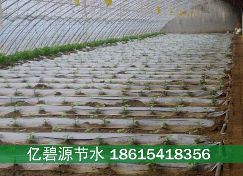 庆阳温室草莓大棚滴灌安装设备清单