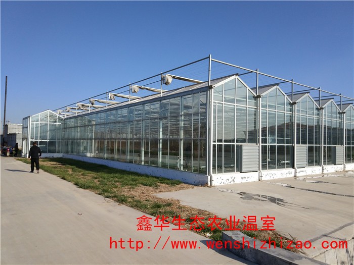 连栋玻璃温室 日光玻璃温室建设 就找青州鑫华 质优价廉