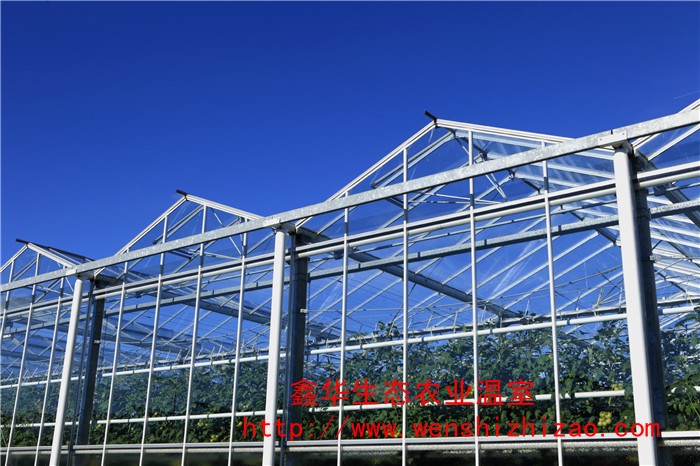 批量生产 智能玻璃温室温室 蔬菜玻璃大棚 贵州温室工程承建