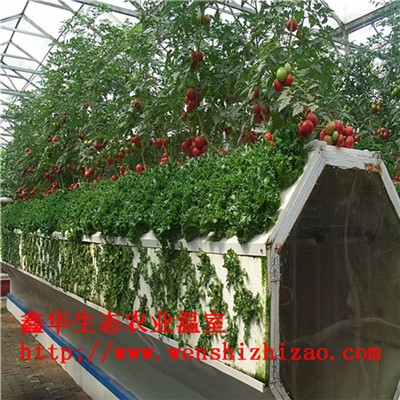 供应草莓立体种植槽 无土蔬菜种植桶 专业设备定做