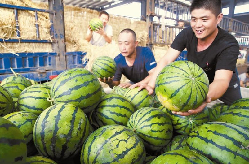 广东省西瓜批发市场-东莞江南莞香水果批发市场