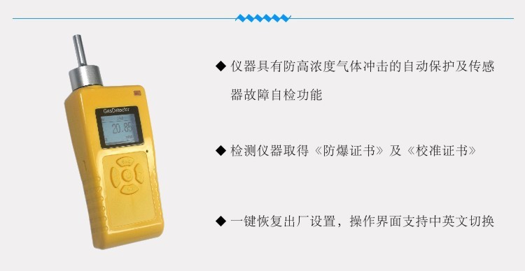 便携式臭氧气体检测仪 PGD3-C-3深圳鑫海瑞