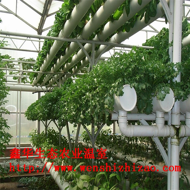 阳台菜园 水培阳台种菜 方形槽式种植机 多层无土栽培设备定制