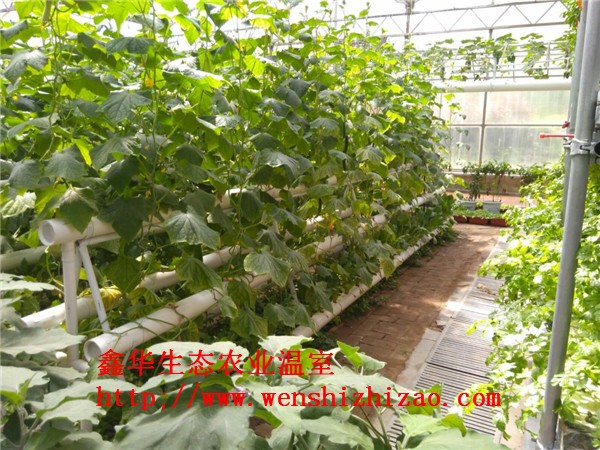 大螺旋管道栽培 自动水培种菜机生产 阳台无土栽培设备价格
