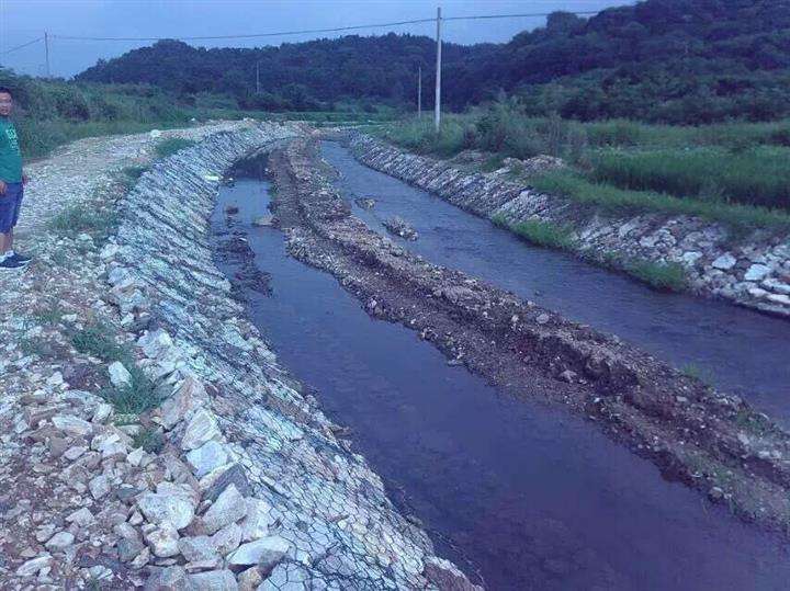 生态绿滨垫厂家HL一站式绿滨垫生产厂家