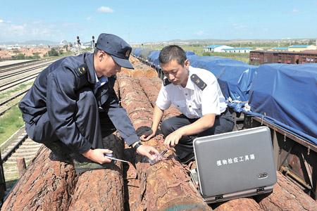 厦门木材进口，木材进口海运清关拖车，代理木材进口，进口操作哪家强