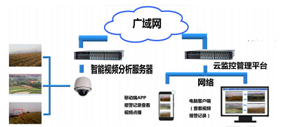 烟火识别系统