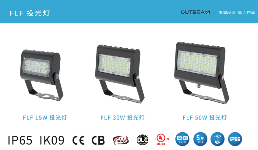 泰亮照明LED投光灯/LED泛光灯