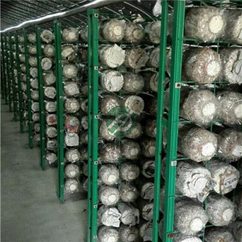 供应蘑菇架-优质浸塑蘑菇网片定制-批量生产