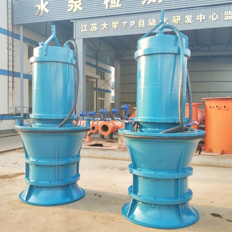 北京耐用潜水轴流泵制造商，提供定制服务