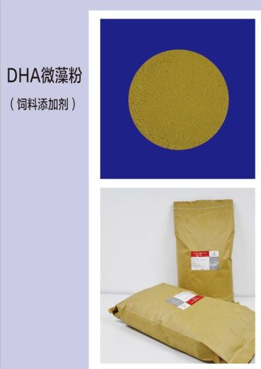 DHA微藻粉 厂家直销 现货供应