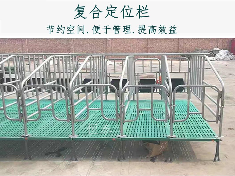 畜牧设备厂家直销 高配猪用限位栏