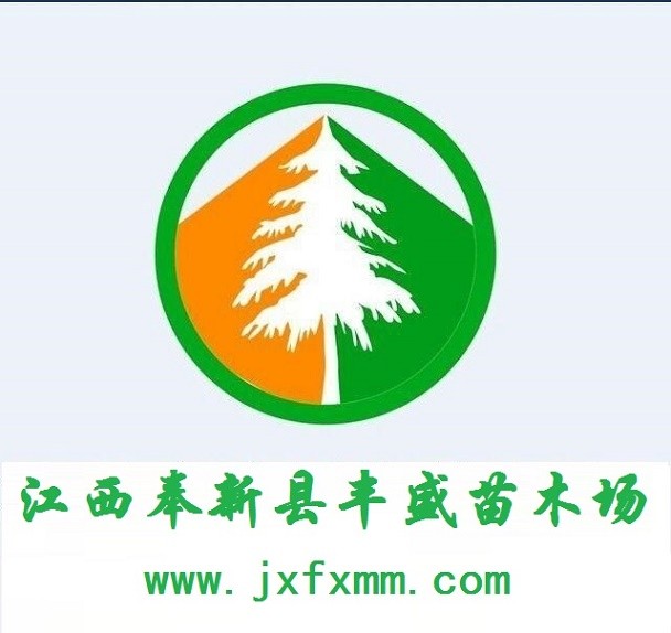江西奉新：造林苗绿化工程苗木迎来传统销售旺季