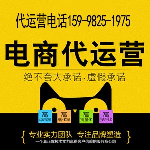 烟台淘宝代运营 如何提高店铺权重 济南惠购网络科技