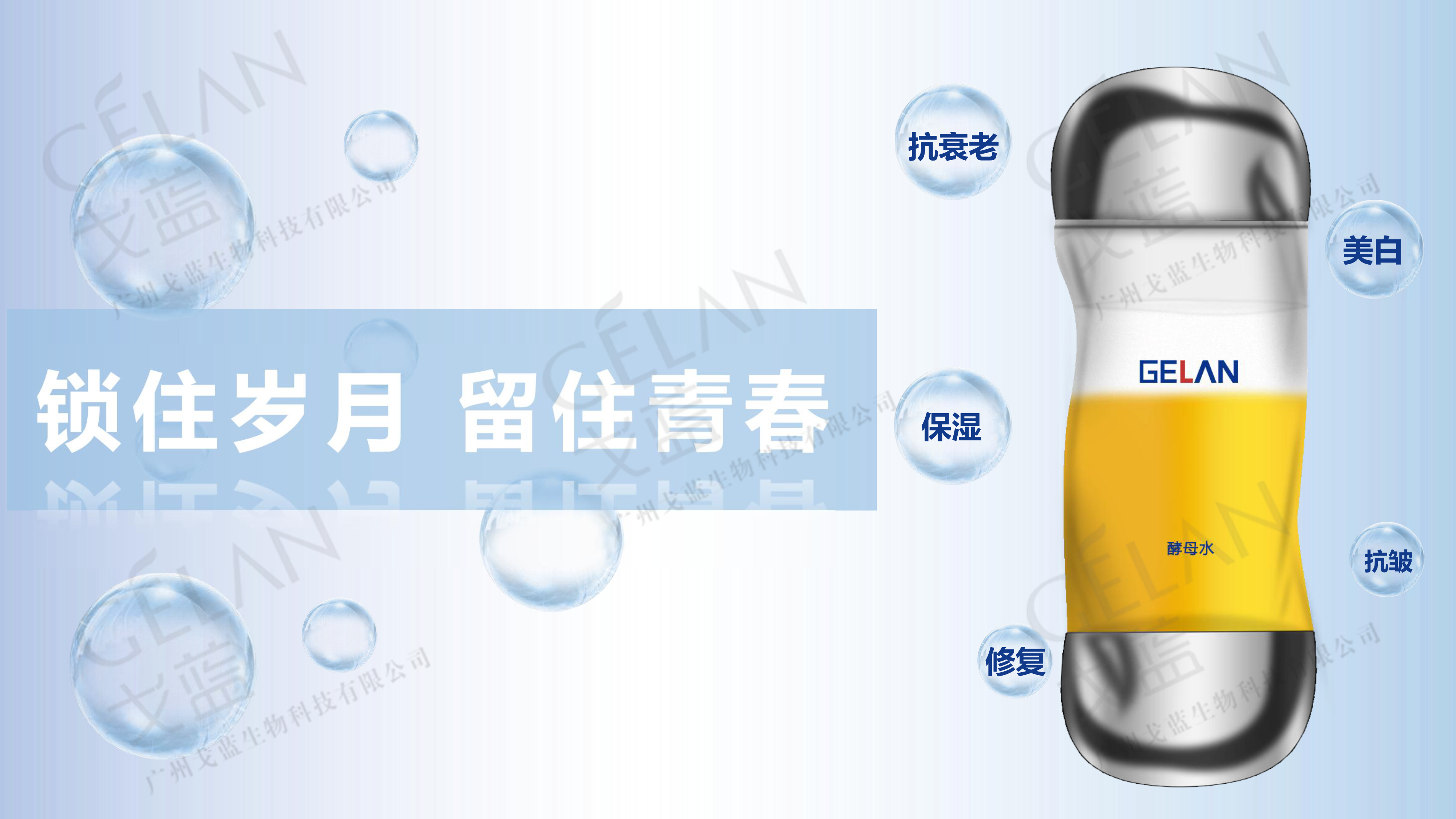 广州戈蓝生物科技酵母水生产厂家13924099687