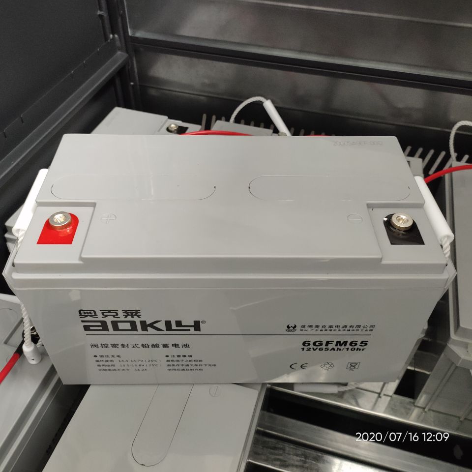 广东奥克莱12V65AH蓄电池代理商 UPS机房电源电池价格
