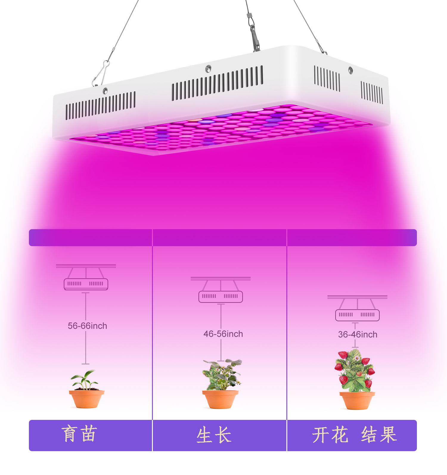 300W双通道手调植物灯 LED植物灯