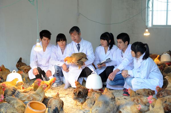 畜禽生产与疾病防治.jpg