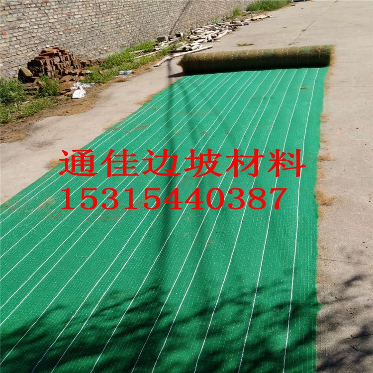 厂家供应河道护坡绿化抗冲生物毯 生态毯 水保植生毯