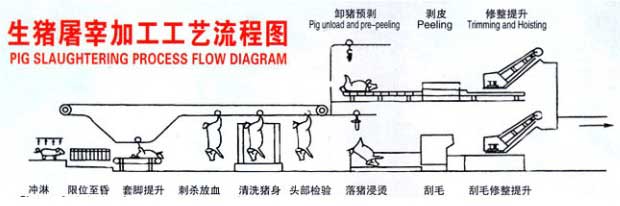 生猪屠宰加工工艺流程图