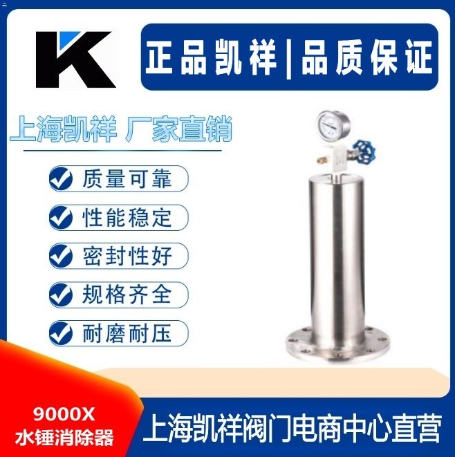 9000X水锤消除器.jpg