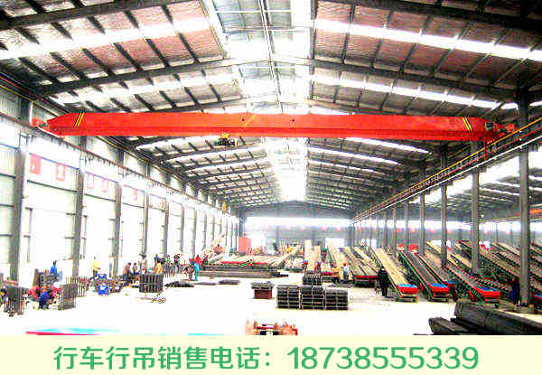  河北邯郸铸造起重机厂家专注各类起重机