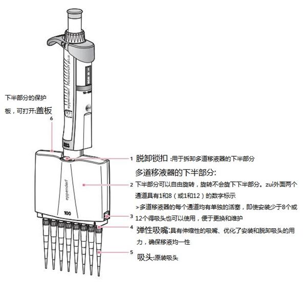 天津本生 八道移液器