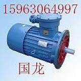 DSB17-4輸送機配件隔爆電機;
