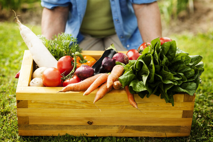 保护心脏，从“吃”开始！这些蔬菜富含硝酸盐，建议每天多吃些