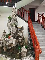 靈芝